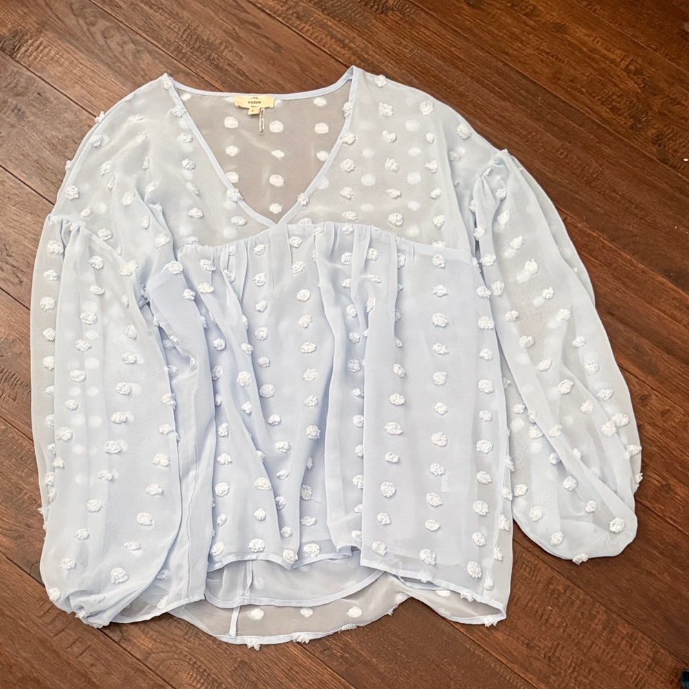 Entro Light Blue Sheer Blouse